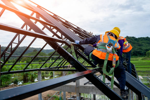 Best Commercial Roofing Services  in Las Animas, CO