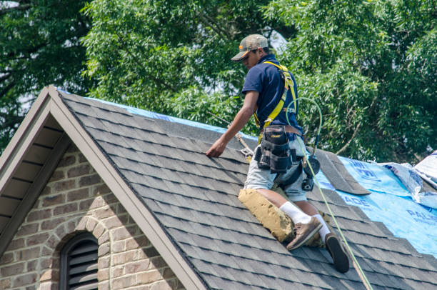 Quick and Trustworthy Emergency Roof Repair Services in Las Animas, CO
